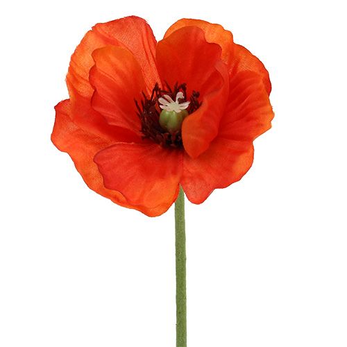 Floristik24 Mazzo di papaveri L28cm