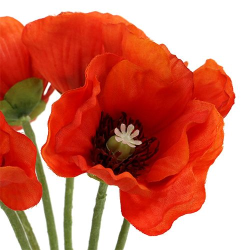 Floristik24 Mazzo di papaveri L28cm