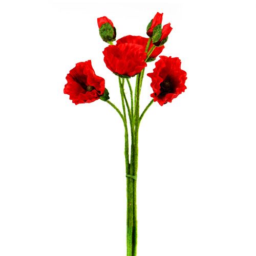 Floristik24 Papaveri Rossi Ø7cm L48cm 4 pezzi