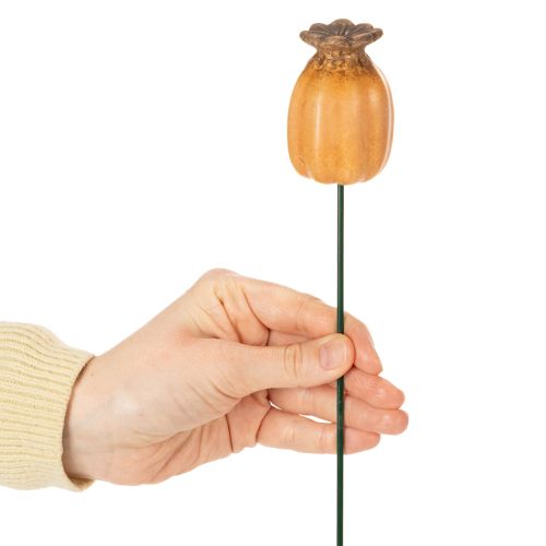 Prodotto Paletto da giardino con baccello di semi di papavero - elemento decorativo per abbellire il giardino e per progetti fai da te - 41 cm, 4 pezzi