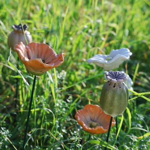 Prodotto Capsule di papavero su bastoncino per decorazione stagionale del giardino o per balcone 41 cm 4 pezzi