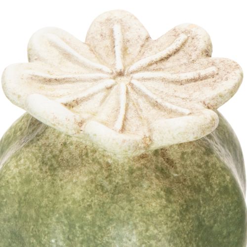 Prodotto Decorazioni da giardino con baccelli di semi di papavero per graziosi allestimenti da giardino, 60 cm, 2 pezzi