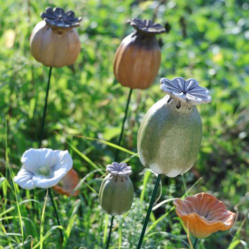 Prodotto Decorazioni da giardino con baccelli di semi di papavero per graziosi allestimenti da giardino, 60 cm, 2 pezzi