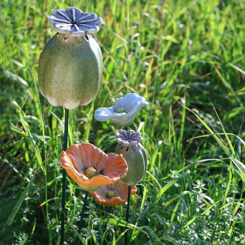 Prodotto Decorazioni da giardino con baccelli di semi di papavero per graziosi allestimenti da giardino, 60 cm, 2 pezzi