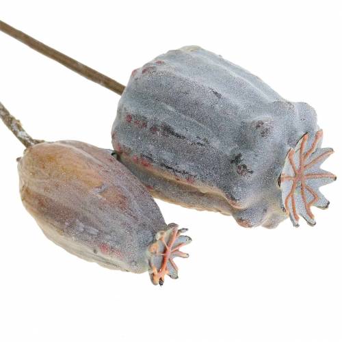 Floristik24 Capsule di papavero artificiale giallo, marrone 6 pezzi