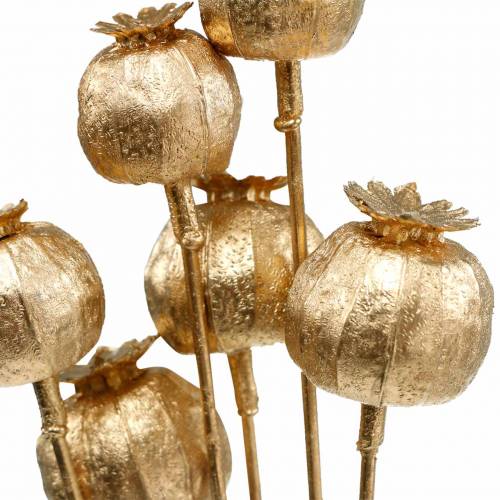 Floristik24 Capsula di semi di papavero su bastoncino dorato 59cm 6 pezzi