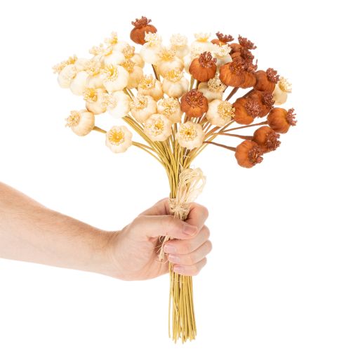 Baccelli di semi di papavero artificiali essiccati, mazzo di tre colori, 40 cm, 45 pezzi | Floristik24.it