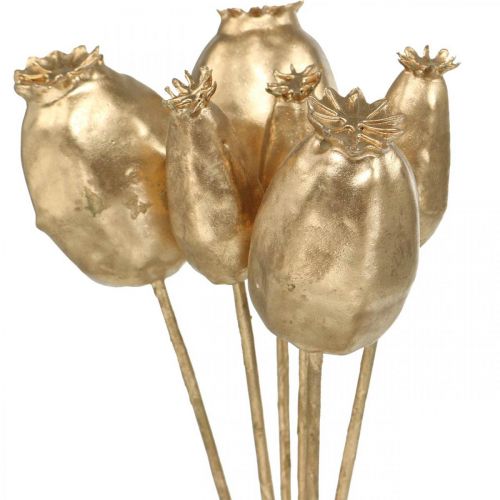 Capsule di semi di papavero semi di papavero artificiali decorazioni natalizie in oro 38 cm 6 pezzi