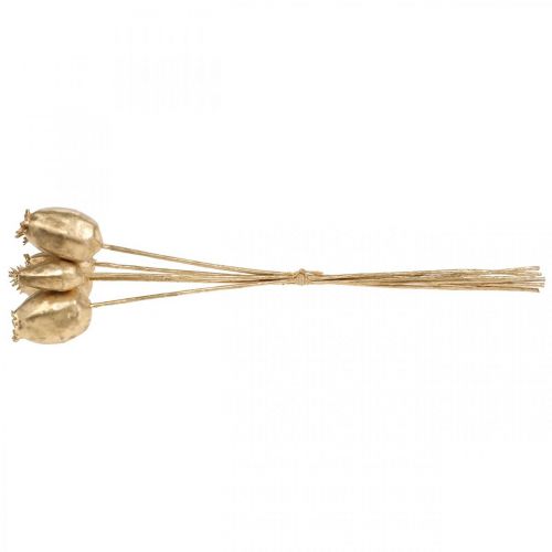 Floristik24 Capsule di papavero decorazione papavero oro artificiale Decorazione natalizia 38 cm 6 pezzi