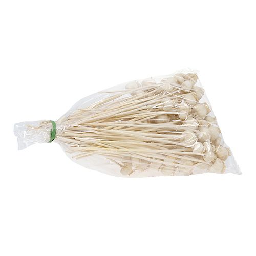 Floristik24 Teste di papavero sbiancate 100 pz