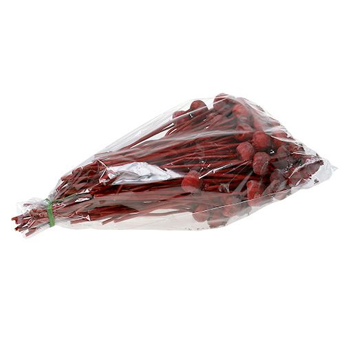 Floristik24 Teste di papavero colorate di rosso 100 pz