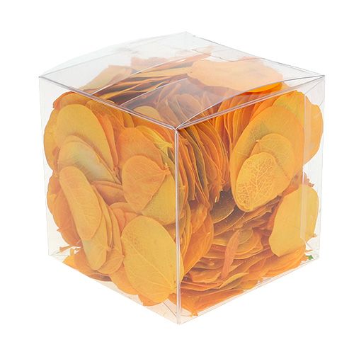 Floristik24 Moneta foglie giallo dorato 50g