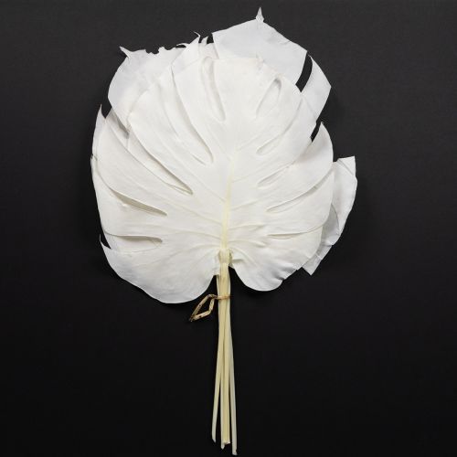 Foglie di monstera sbiancate decorative per finestra H40cm 5 pezzi