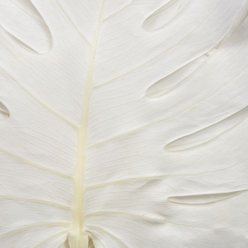 Floristik24 Foglie di monstera sbiancate decorative per finestra H40cm 5 pezzi