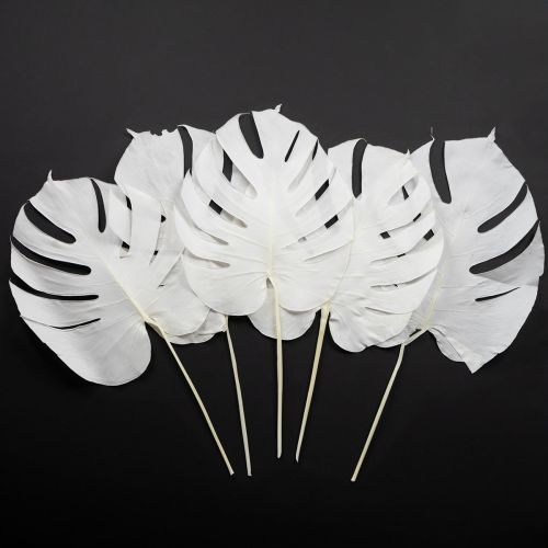 Floristik24 Foglie di monstera sbiancate decorative per finestra H40cm 5 pezzi