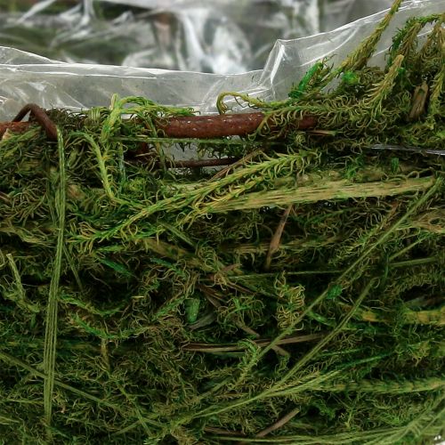 Floristik24 Moss-Bowl Verde Ø11cm H6,5cm - 7,5cm 5 pezzi