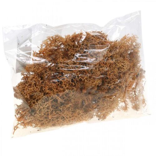 Prodotto Muschio decorativo per artigianato Muschio naturale color arancio stabilizzato 40g