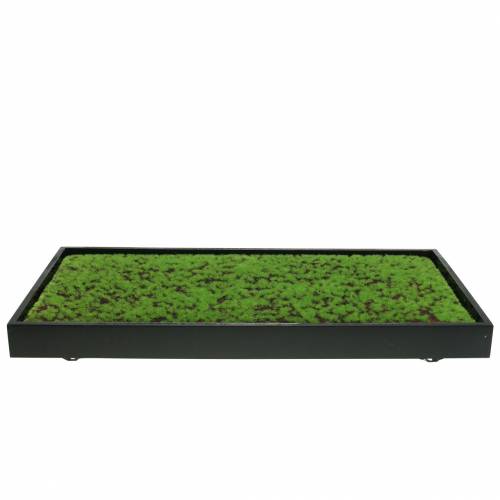 Prodotto Muschio murale in una cornice verde 60x30cm Decorazione murale in muschio