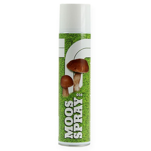 Floristik24 Spray Muschio 400ml