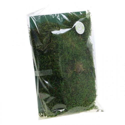 Floristik24 Muschio decorativo per artigianato verde, verde scuro 100g