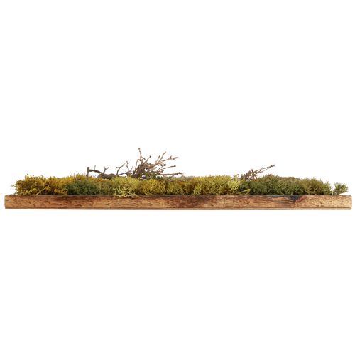 Prodotto Quadro muschio preservato vero muschio e rami naturali 60×40 cm