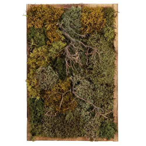 Prodotto Quadro muschio preservato vero muschio e rami naturali 60×40 cm