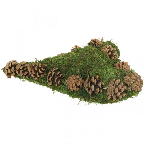 Floristik24 Base decorazione tomba cuore muschio e disposizione coni 30 × 19cm