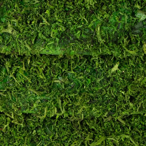 Prodotto Ghirlanda decorativa di muschio per composizioni stagionali e design personalizzato, 15 cm, 6 pezzi