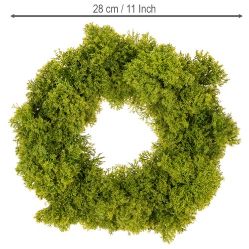 Ghirlanda di muschio artificiale, decorativa per tavolo o porta, 28 cm | Floristik24.it