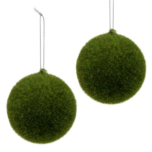 Floristik24 Sfera di muschio Ø8cm verde 6 pezzi