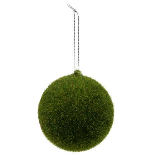 Floristik24 Sfera di muschio Ø8cm verde 6 pezzi