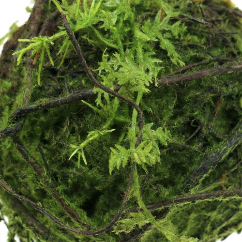 Prodotto Palla di muschio Kokedama artificiale verde Ø13cm