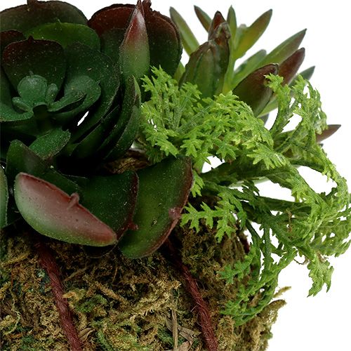 Floristik24 Kokedama Verde Artificiale Ø7cm