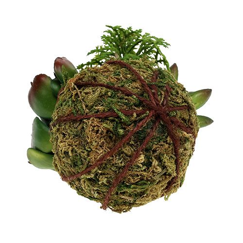 Floristik24 Kokedama Verde Artificiale Ø7cm