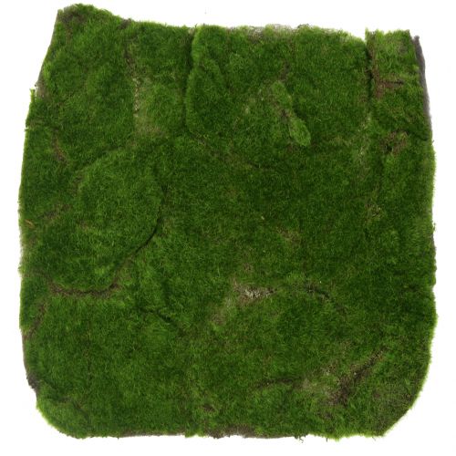 Tappetino muschio verde 35 cm x 35 cm