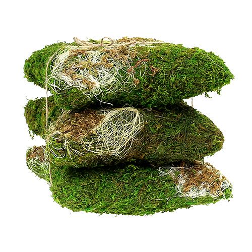 Floristik24 Cuscino muschio per piantare 20 cm x 20 cm 3 pezzi