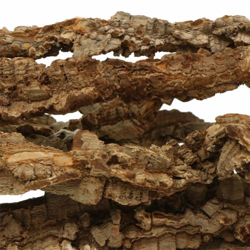 Floristik24 Rami di quercia da sughero Rami di Muruku 100 cm 10 pezzi