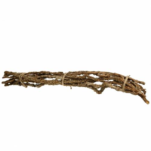 Floristik24 Rami di quercia da sughero Rami di Muruku 100 cm 10 pezzi