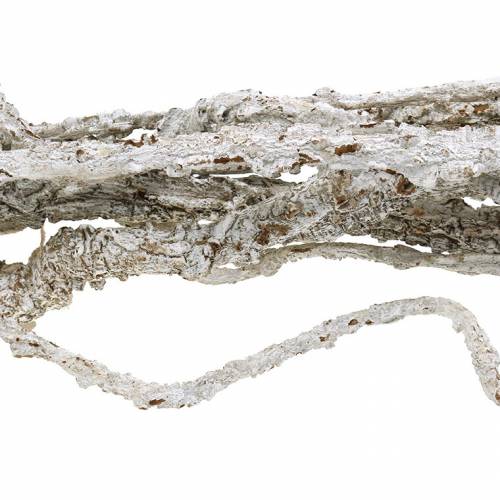 Rami di quercia da sughero Rami di Muruku bianchi 100 cm 10 pz