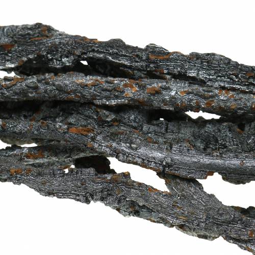 Rami di quercia da sughero Rami di Muruku neri 100 cm 10 pz