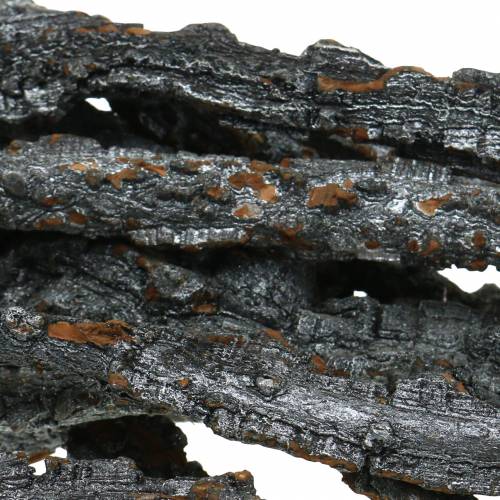 Floristik24 Rami di quercia da sughero Rami di Muruku neri 100 cm 10 pz