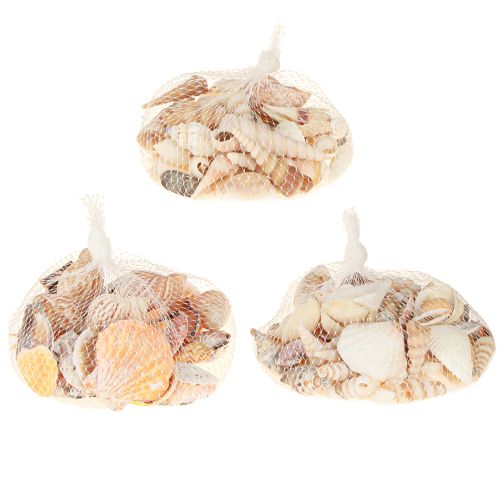 Prodotto Decorazione conchiglia lumaca di mare naturale 350g × 3pz