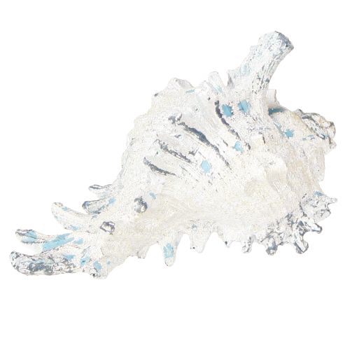 Prodotto Decorazione a conchiglia Lumaca di mare artificiale blu-bianca 11,5/13 cm 2 pezzi