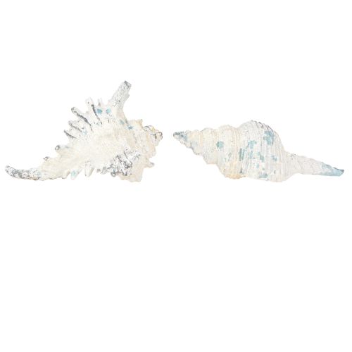 Prodotto Decorazione a conchiglia Lumaca di mare artificiale blu-bianca 11,5/13 cm 2 pezzi