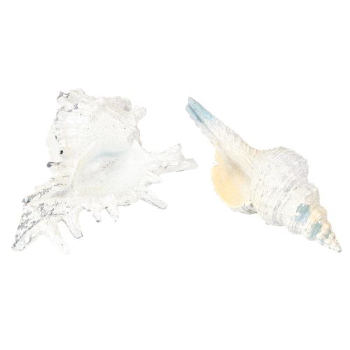 Prodotto Decorazione a conchiglia Lumaca di mare artificiale blu-bianca 11,5/13 cm 2 pezzi