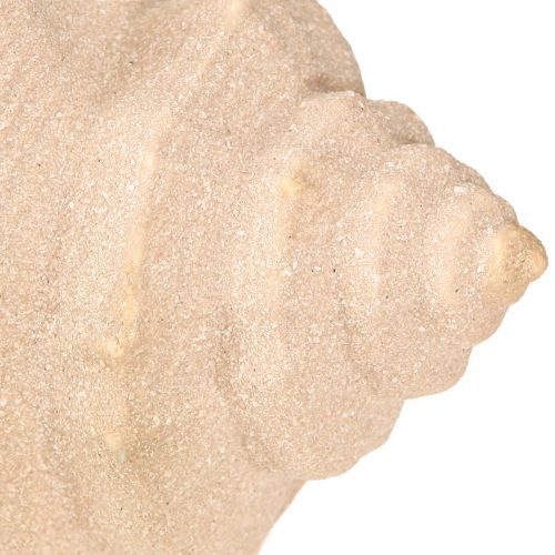 Prodotto Decorazione a conchiglia in ceramica marittima blu beige 16,5×11×9,5cm 2 pz