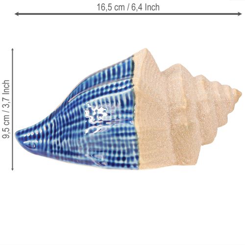 Prodotto Decorazione a conchiglia in ceramica marittima blu beige 16,5×11×9,5cm 2 pz