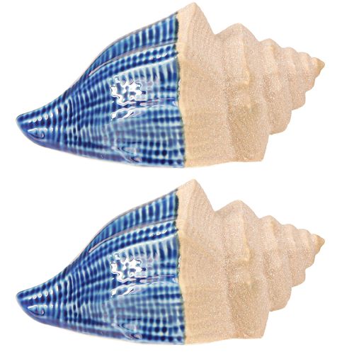 Prodotto Decorazione a conchiglia in ceramica marittima blu beige 16,5×11×9,5cm 2 pz
