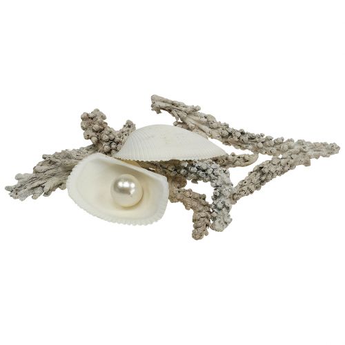 Mix di conchiglie con perle e legno bianco 200g
