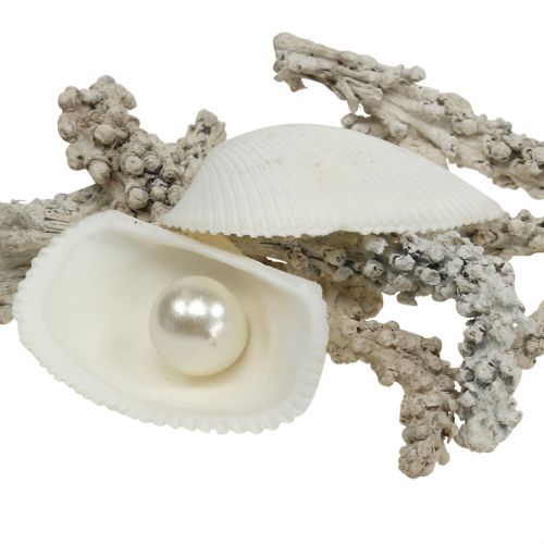 Prodotto Mix di conchiglie con perle e legno bianco 200g